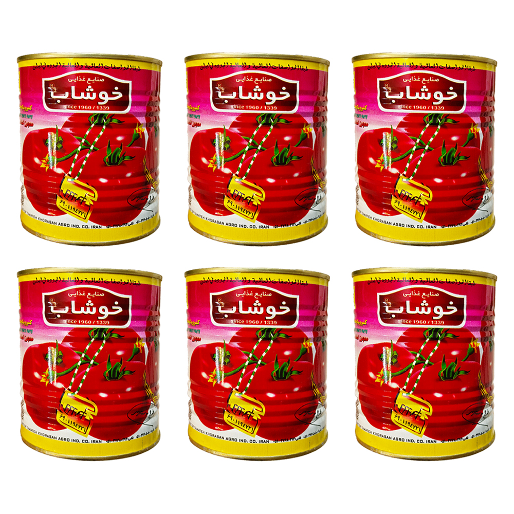 رب گوجه فرنگی 800 گرم خوشاب